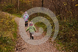 Children walking in the forest