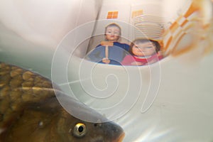 Children watching fish