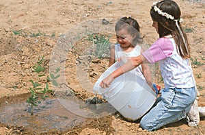 Children watering a sapling