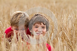 Children in a wheat field