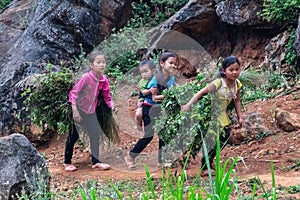 Children working in agriculture Vietnam