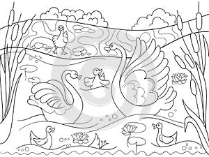 Childrens coloring book cartoon family of Swan on nature.