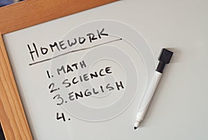 Childrens Homework List