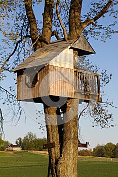 Childrens Treehouse