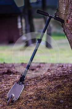 Childs black scooter leaning against a tree in the shade