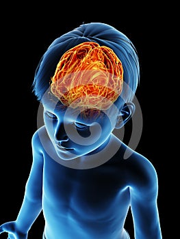 A childs brain