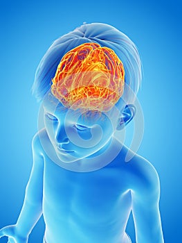 A childs brain