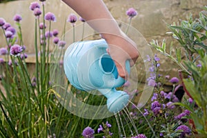Childs hand with watering can