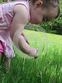 A childs new experience in the grass