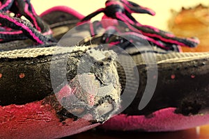 Childâ€™s worn out sneakers