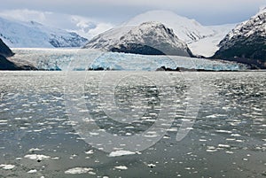 Chile - Amalia Glacier - Bernardo O'Higgins National Park