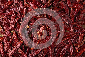 Chile de Arbol Texture Background photo