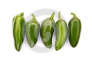 Chile Jalapeno hot chili pepper photo