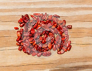 Chile Piquin hot chili pepper photo