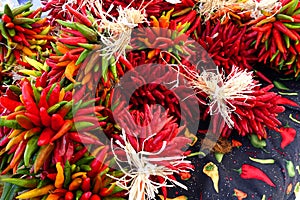 Chile Ristras at the Farmers Market