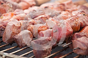 Chile - the typical anticuchos