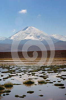 Chilean Atacama Desert