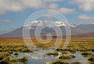 Chilean Atacama Desert