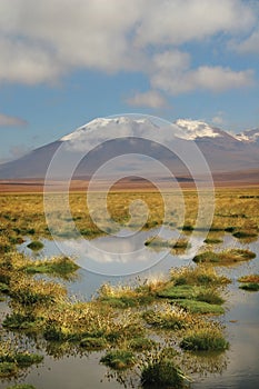 Chilean Atacama Desert photo