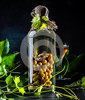 Chilean brandy aguardiente with whole bunch of grapes inside bottle