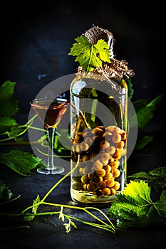 Chilean brandy aguardiente with whole bunch of grapes inside bottle