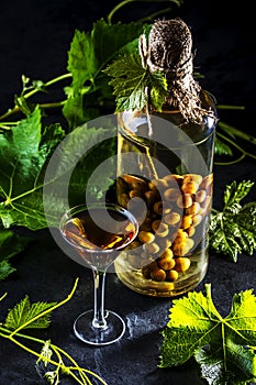 Chilean brandy aguardiente with whole bunch of grapes inside bottle