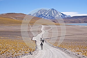 Chilean high plateau