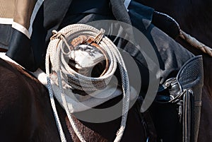 Chilean huaso on horseback with his blanket and lasso photo