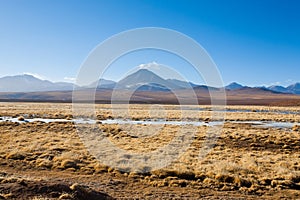 Chilean lagoon landscape, Chile