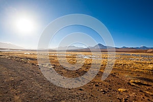 Chilean lagoon landscape, Chile