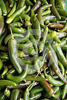 Chiles