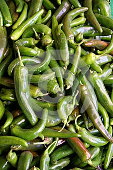 Chiles photo