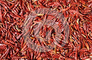 Chili