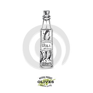 Chili flavoured olive oil bottle, hand drawn vector illustration. photo
