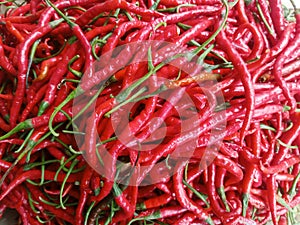 This chili fruit is unique in thatit is red in color and has a spicy taste but is liked by everyone