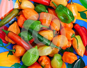 Chili Habanero Serrano hot mexican peppers photo