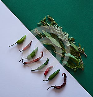 Chili and herbs arranged in a pattern on contrasting backgrounds. Top view