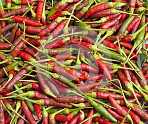Chili padi