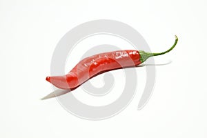 Chili pepper
