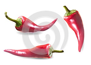 Chili pepper