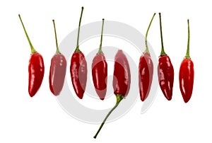 Chili Pepper Birds Eye