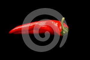 Chili pepper on black