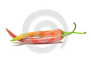 Chili pepper/chili pepper isolated on a white background