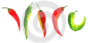 Chili pepper collection. Watercolor set of spicy paprika for print, banner, fabric illustration