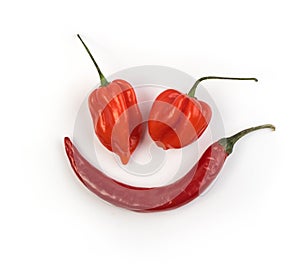 Chili Pepper Habanero