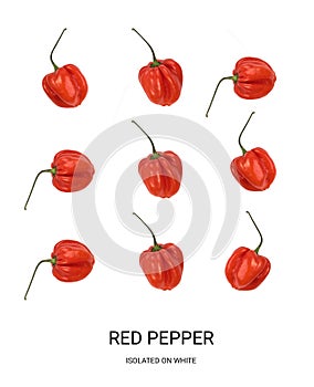 Chili Pepper Habanero