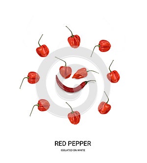 Chili Pepper Habanero