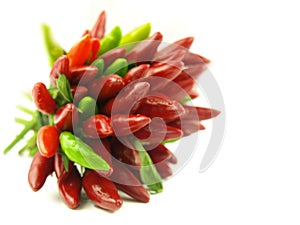 Chili pepper and hot red pepper very close