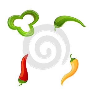 Chili pepper icons set cartoon vector. Colorful hot pepper