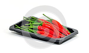 Chili pepper isolated.
